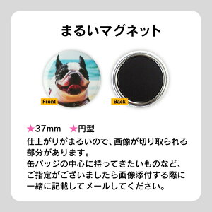 まるいマグネット