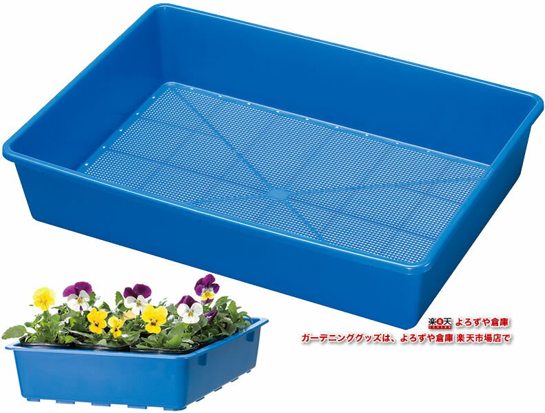 育苗箱 新B型 BL 【家庭菜園】