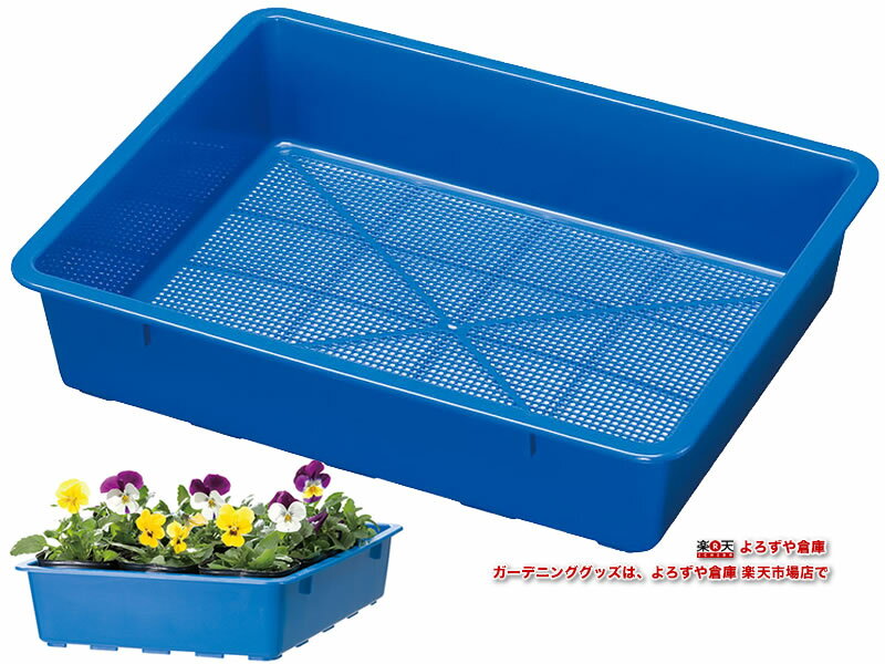 育苗箱 C型 BL 【家庭菜園】