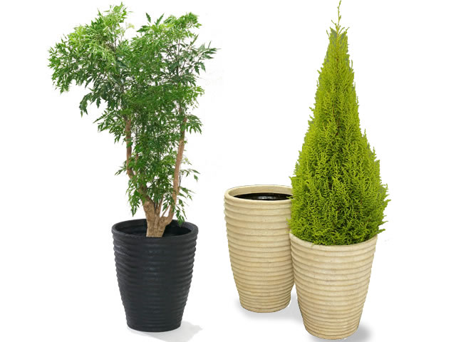 ナミツボ 52型(P40)/大型ポット【送料無料】 【鉢】