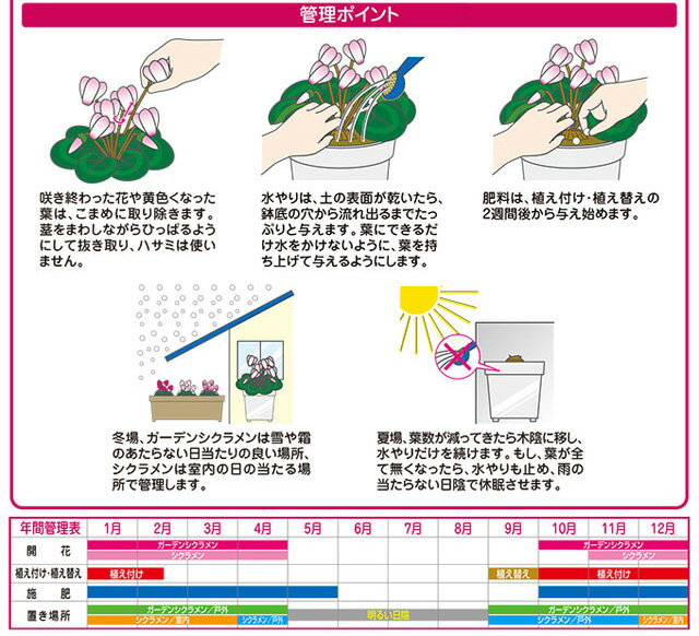 花ごころガーデンシクラメン・シクラメンの土12L 【園芸 培養土 土 ガーデニング 家庭菜園】 3