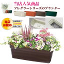 フレグラープランター 60型/プランター【ガーデニング DIY 家庭菜園 庭 栽培】 素焼風プラスチック