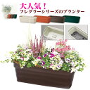 フレグラープランター 30型/プランター【ガーデニング DIY 家庭菜園 庭 栽培】