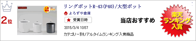 リングポットR-43(P40)/大型ポット【送料無料】【鉢】 2