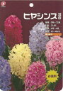 【球根】お徳用ヒヤシンス5色混合　5球入り