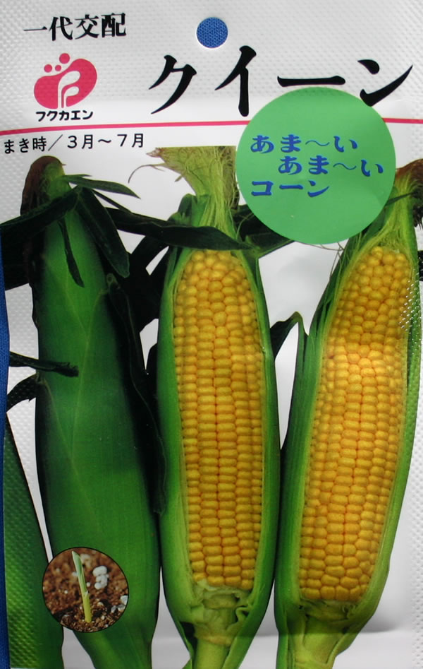 フクカエン　とうもろこしクイーンのタネ【メール便OK】【野菜のタネ】