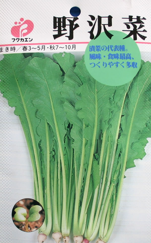 フクカエン 野沢菜のタネ【メール便OK】【野菜のタネ】