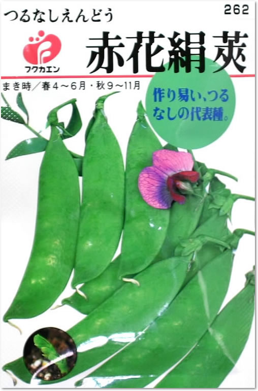 フクカエン つるなしえんどう 赤花絹莢の種（タネ）【メール便OK】【野菜のタネ】
