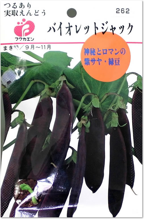 フクカエン 実取りえんどう バイオレットジャックの種（タネ）【メール便OK】【野菜のタネ】