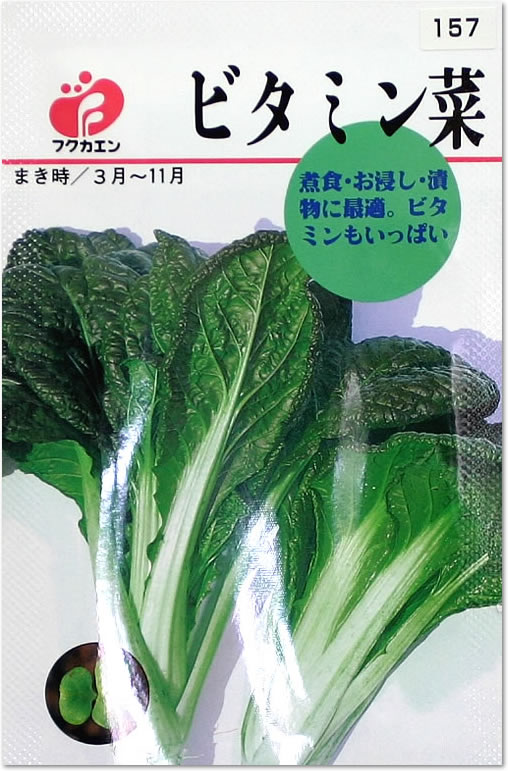 フクカエン ビタミン菜の種（タネ）【メール便OK】【野菜のタネ】