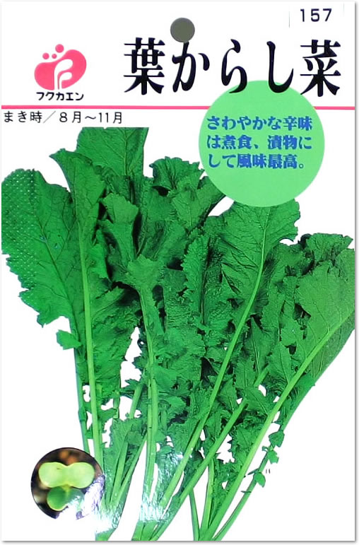 フクカエン 葉からし菜の種（タネ）【メール便OK】【野菜のタネ】