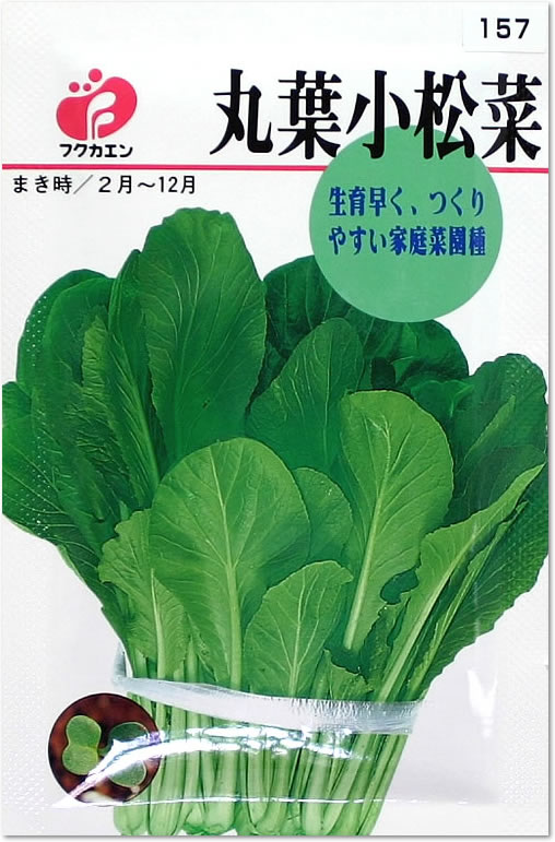 フクカエン 丸葉小松菜の種（タネ）【メール便OK】【野菜のタネ】