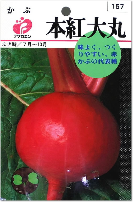 フクカエン かぶ 本紅大丸の種（タネ）【メール便OK】【野菜のタネ】