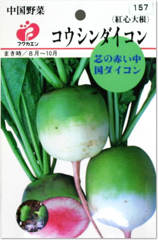 フクカエン 中国野菜 コウシンダイコンの種（タネ）【メール便OK】【野菜のタネ】