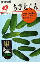 ・暑さに強く、作りやすいミニきゅうり。生育早く、種まき後30日位より収穫できます。 ・果は6〜8cm位で果重25〜30g位の時が収穫最適期で、毎日、朝夕2回位で収穫できます。 ・果は歯切れよく食味、風味ともに最高です。 まき時：4月〜7月 ★メール便での発送について 1〜5袋（タネの種類により異なります）の場合メール便での発送が可能です メール便希望の場合はメール便の発送方法をお選び下さい。 メール便の場合は代金引換はご利用できません。 他の商品と同梱されました場合は他の商品の送料が優先されます ■肥料・培養土 ■殺虫・殺菌、成長剤等 ■散水用品 ■園芸道具 ■タネの栽培に最適なプランター ■ポット全般【植木鉢 鉢 ポット ガーデニング DIY エクステリア 家庭菜園 プランター 大型 野菜苗 バラ ツルバラ つるばら 薔薇 ガーデンアーチ アーチ アイアン オベリスク ゲート 水差し ステンレス 土 培養土 カラーサンド フェンス ハイドロカルチャー 容器 庭 栽培】