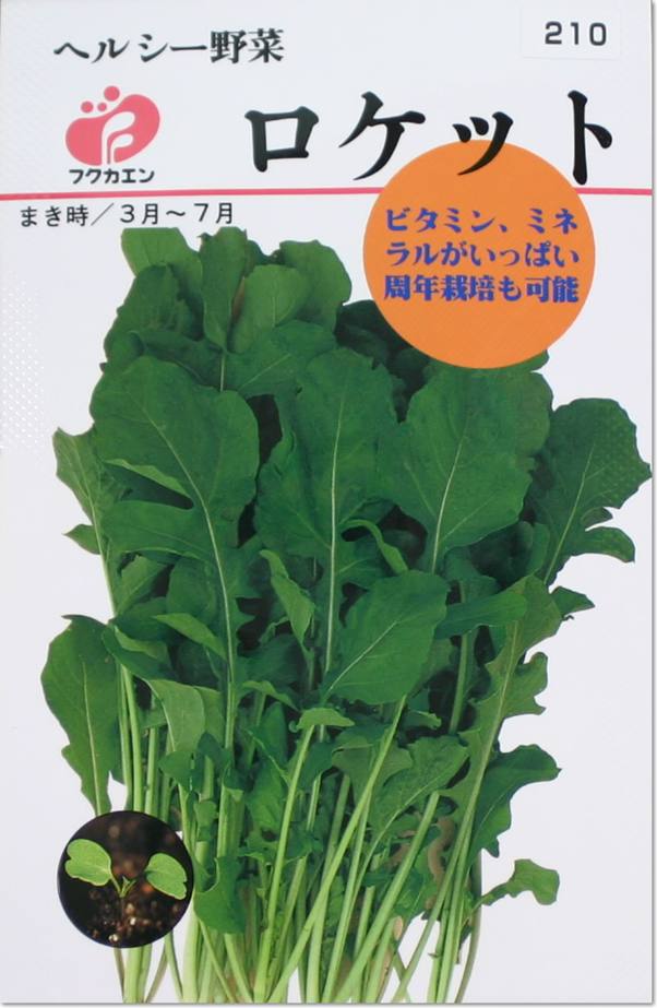 ヘルシー野菜・ロケットの種（タネ