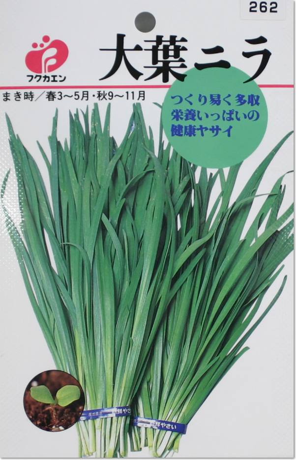にら・大葉ニラの種（タネ）【メール便OK】のサムネイル