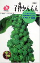 キャベツ・子持かんらんの種(タネ)【メール便OK】