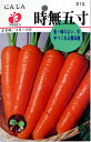 にんじん・時無五寸の種(タネ)【メール便OK】
