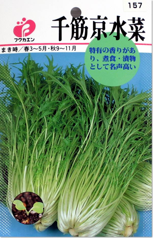 みずな・千筋京水菜の種（タネ）【メール便OK】