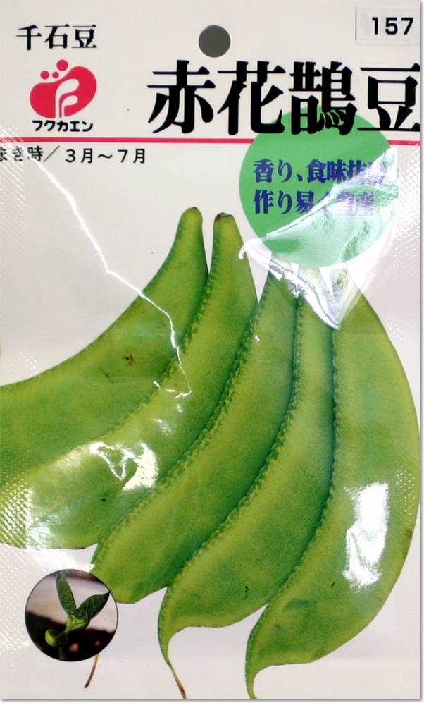 千石豆・赤花鵲豆の種（タネ）【メール便OK】