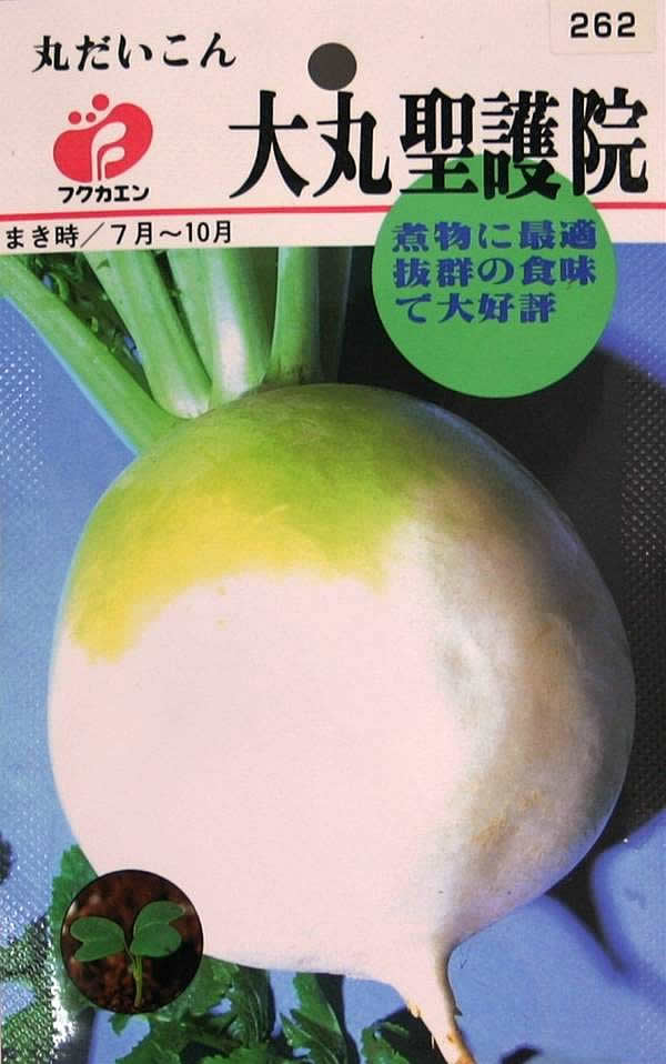 Ҹˤ㤨ִݤʥ͡ˡڥ᡼OKۡפβǤʤ230ߤˤʤޤ