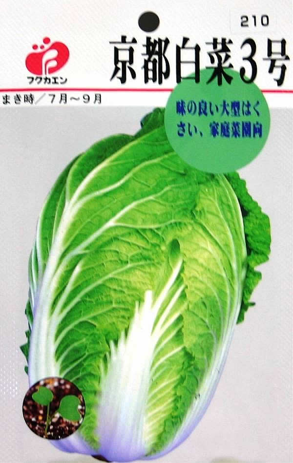 京都白菜3号　種（タネ）【メール便OK】