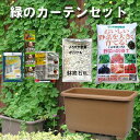 eco&ecoウインプランター深55型ゴーヤ