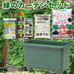 エコ菜園プランター深55型ゴーヤ栽培緑のカーテンセット 【深型プランター・家庭菜園　ガーデニング 】