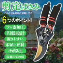 【