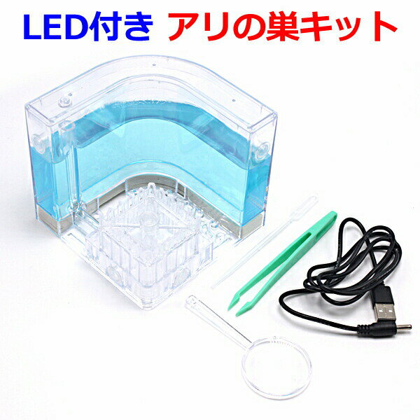 【即日発送】LED付き アリの巣キット アリの巣 観察 キット アリ城 アリ観察セット アリ飼育セット 自然 生物 アリさん丸ごと観察セット おうち時間 自由研究 飼育 観察【送料無料】のサムネイル