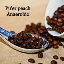 コーヒー 生豆 中国 雲南 プーアルピーチ アナエアロビコ スペシャリティコーヒー