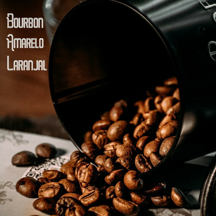 オーダー焙煎 コーヒー豆 ブラジル ブルボン アマレロ ラランハル農園 スペシャリティコーヒー シングルオリジン