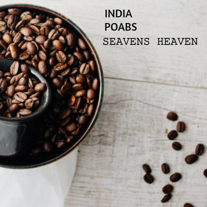 コーヒー生豆 インド SEVENTH HEAVEN ポアブス農園 スペシャリティコーヒー シングルオリジン