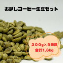 送料無料 お試し コーヒー生豆 9種類 ゲイシャ含む ブラジル サンマリノ スペシャリティコーヒー コーヒー生豆