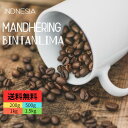 オーダー焙煎 インドネシア マンデリン ビンタンリマ スペシャリティコーヒー シングルオリジン