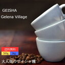 コーヒー生豆 エチオピア ゲイシャ グジ地区ゲレナ農園 G3 ナチュラル スペシャリティコーヒー 送料無料