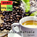 コーヒー生豆 ホンジュラス マルカラ ウオッシュド 有機栽培 Qグレード スペシャリティコーヒー