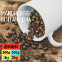 オーダー焙煎 インドネシア マンデリン ビンタンリマ スペシャリティコーヒー シングルオリジン 自家焙煎 送料無料