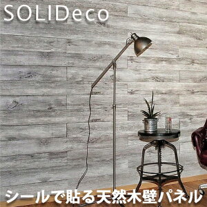 SOLIDECO ǥ ñŽդ ŷڤɥѥͥ ۥ磻ȥ졼 D-06 OAK WHITE GRAY 1(10) 1.51ʿ᡼ȥ