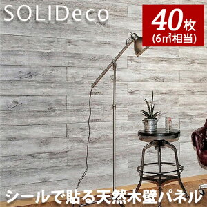 SOLIDECO ǥ ñŽդ ŷڤɥѥͥ ۥ磻ȥ졼 D-06 OAK WHITE GRAY 4(40) 6ʿ᡼ȥ