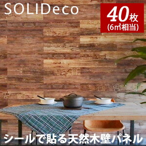 SOLIDECO ǥ ñŽդ ŷڤɥѥͥ D-07 쥤󥪡 RainOld 4(40) 6ʿ᡼ȥ