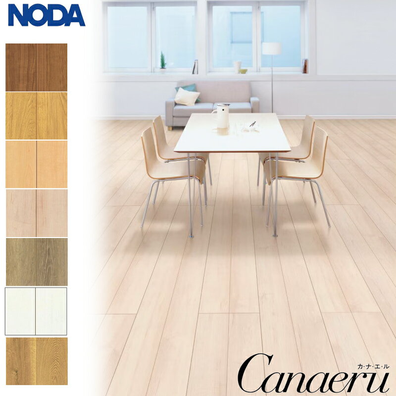 NODA Υ ѥȥե ʥ C12 J١ 303181812mm 6 1 7顼 ڼ