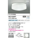 コイズミ エクステリアライト 防雨防湿型シーリング FCL20W相当 KAU55991 昼白色 軒下シーリング