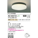 コイズミ エクステリアライト 防雨防湿型シーリング FCL20W相当 KAU45016L 電球色 軒下シーリング