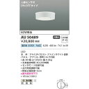 コイズミ エクステリアライト 防雨型シーリング 60W相当 KAU50489 昼白色 軒下シーリング