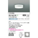 コイズミ エクステリアライト 防雨型シーリング 100W相当 KAU54138 昼白色 軒下シーリング
