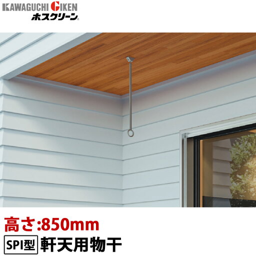川口技研 ホスクリーン 軒天用物干し 着脱式 SPI型 高さ650mm SPI-65 1本 ブラック/ステンカラー 川口技研 ホスクリーン 軒天用物干し 着脱式 SPI型 高さ650mm SPI-65 1本 ブラック/ステンカラー