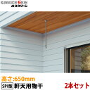 【2本セット】川口技研 ホスクリーン 軒天用物干し 着脱式 SPI型 高さ650mm SPI-65 2本 ブラック/ステンカラー(3)