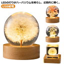 ハーバリウム クリスタルハーバリウム 木製 LED台座付き 母の日 ギフト ホワイトデー 誕生日 結婚記念日 卒業祝 造花 ハーバリウム タンポポ デージー ド...